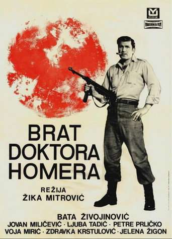 Doctor Homer's Brother poster