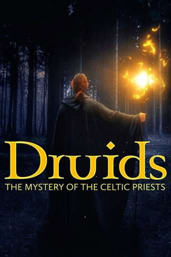 Druids: The Mystery of Celtic Priests poster