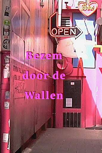 Bezem door de wallen poster