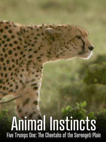 Animal Instincts: Five Trumps One: The Cheetahs of the Serengeti Plain poster