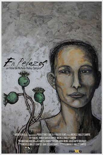 En pedazos poster