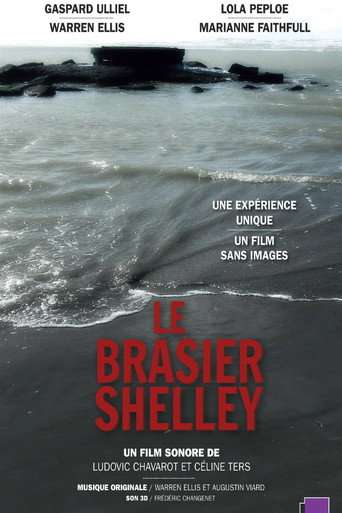 Shelley's Blaze poster
