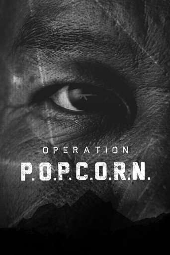 Operation Popcorn poster