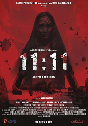 11:11: What Did You See? poster