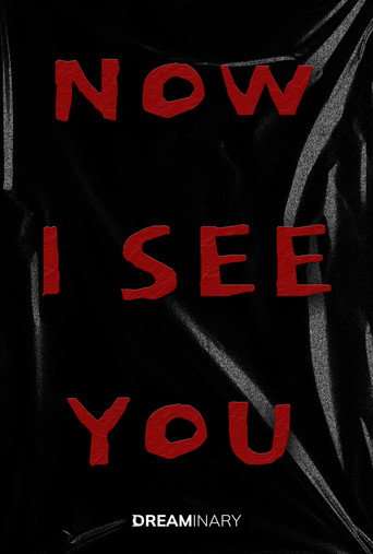 Now I See You poster