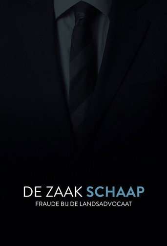 De Zaak Schaap: fraude bij de landsadvocaat poster