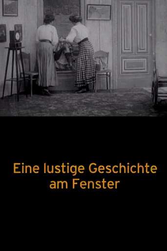 A Funny Story at the Window poster