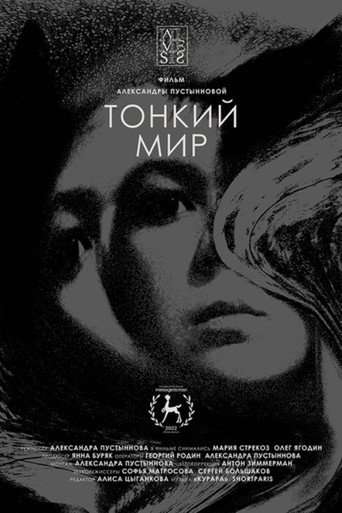 Subtle World poster