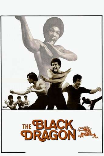 The Black Dragon poster