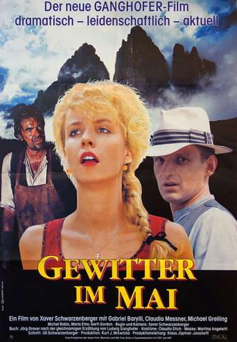 Gewitter im Mai poster