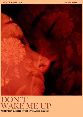 Don’t Wake Me Up poster