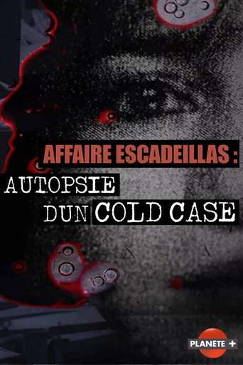 Affaire Escadeillas : autopsie d'un cold-case poster