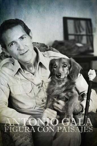 Antonio Gala: figura con paisajes poster