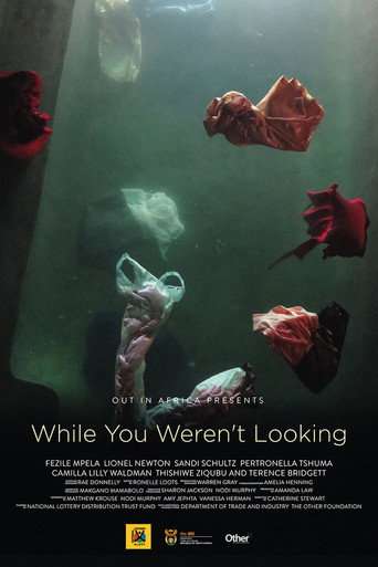 While You Weren't Looking poster