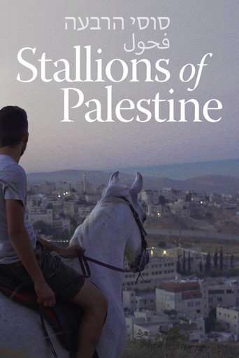 Stallions of Palestine poster