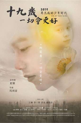 十九岁，一切会更好 poster