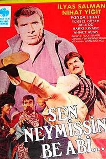 Sen Neymişsin Be Abi... poster