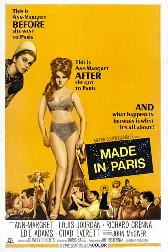Made in Paris poster