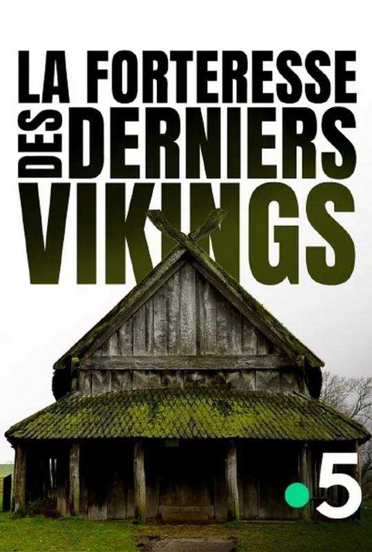 Viking City of the Dead poster