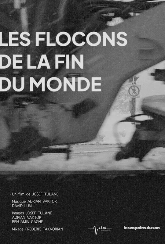 Snowflakes at the End of the World poster