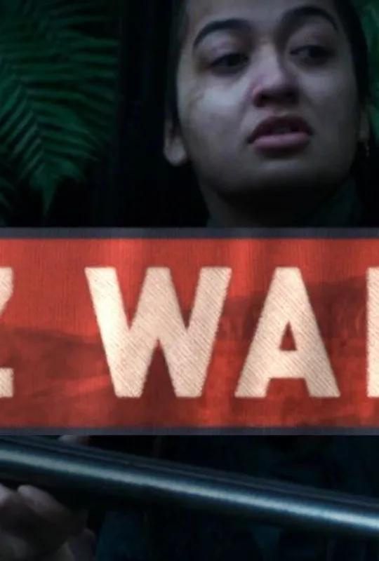 NZ Wars poster