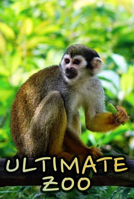 Ultimate Zoo poster