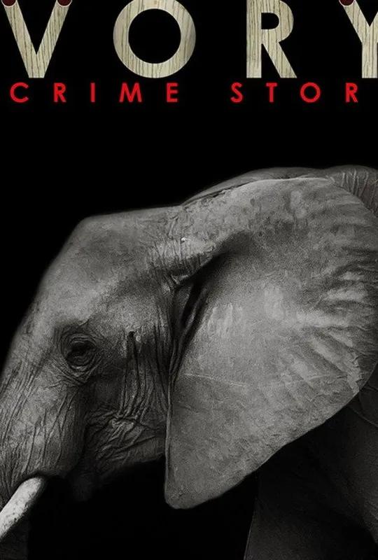 Ivory. A Crime Story poster