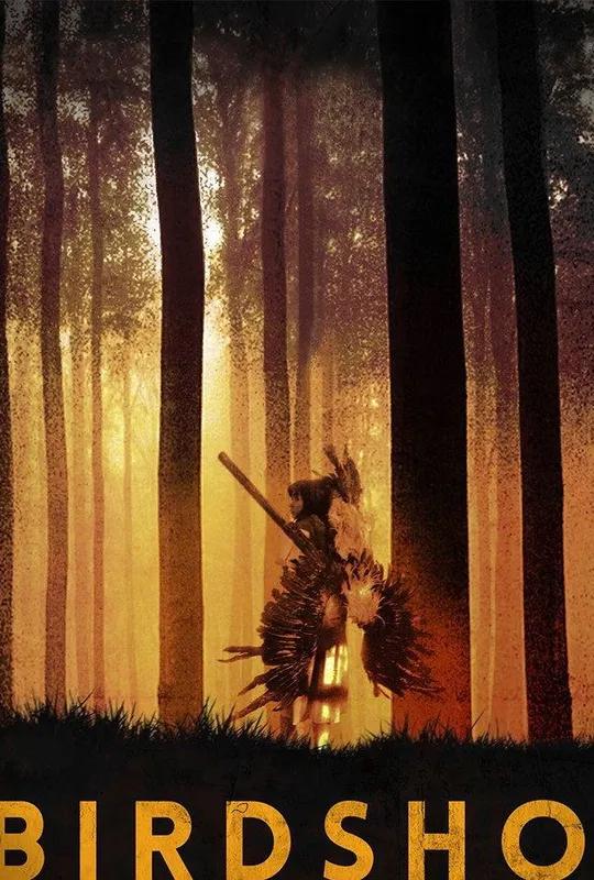 Birdshot poster