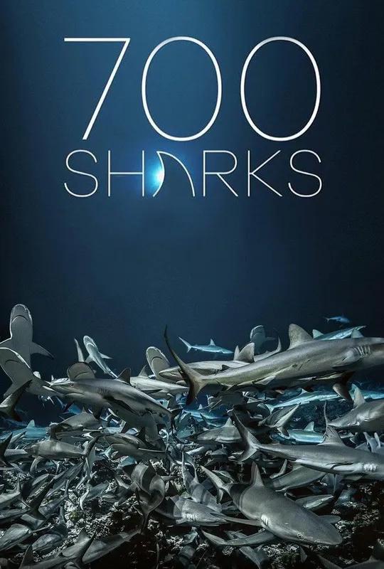 700 Sharks poster
