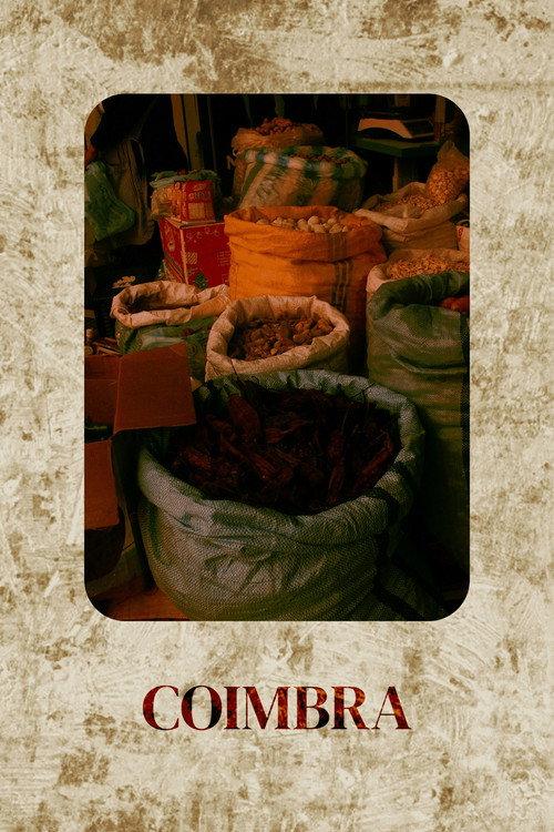 Coimbra poster