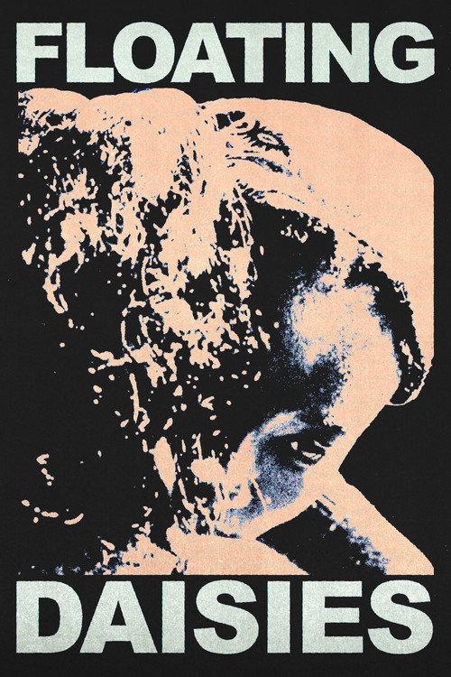 Floating Daisies poster