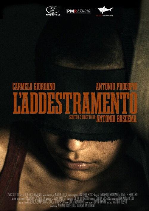 L'addestramento poster