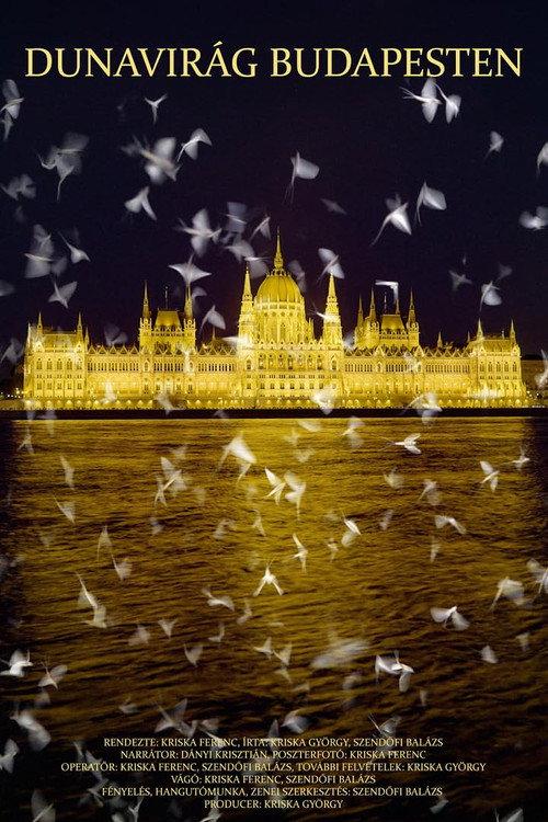 Dunavirág Budapesten poster