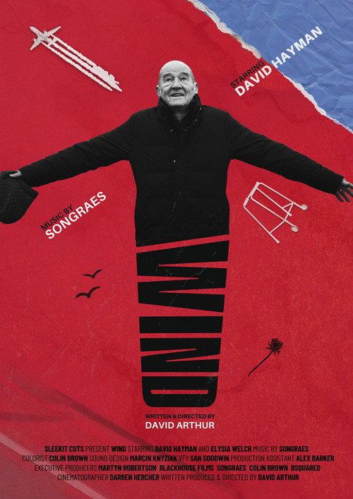 Wind poster