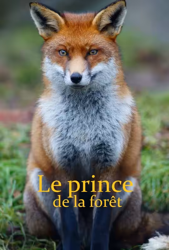 The Prince of the Forest poster