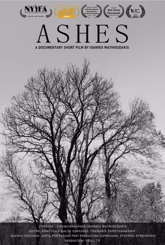 Ashes poster