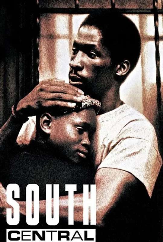 South Central poster