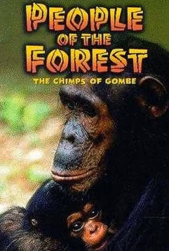People of the Forest: The Chimps of Gombe poster