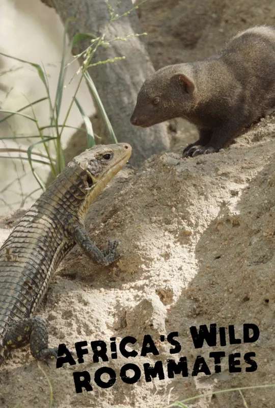 Africa's Wild Roommates: How Animals Share Bed and Board poster