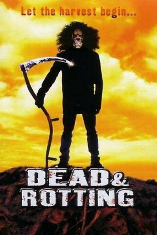 Dead & Rotting poster