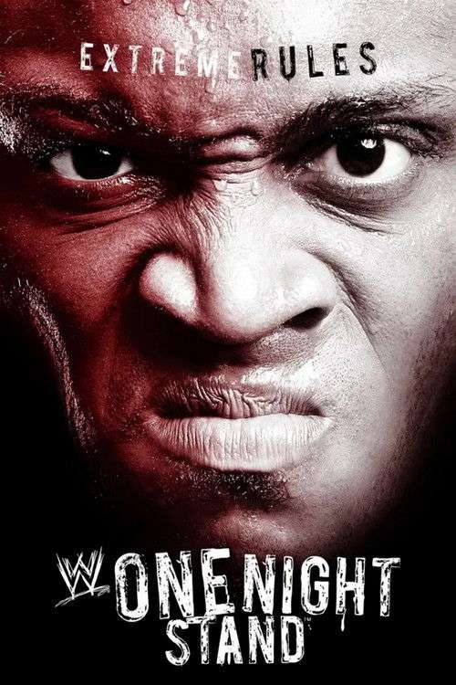 WWE One Night Stand 2007 poster