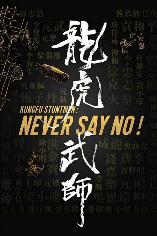 Kung Fu Stuntmen poster