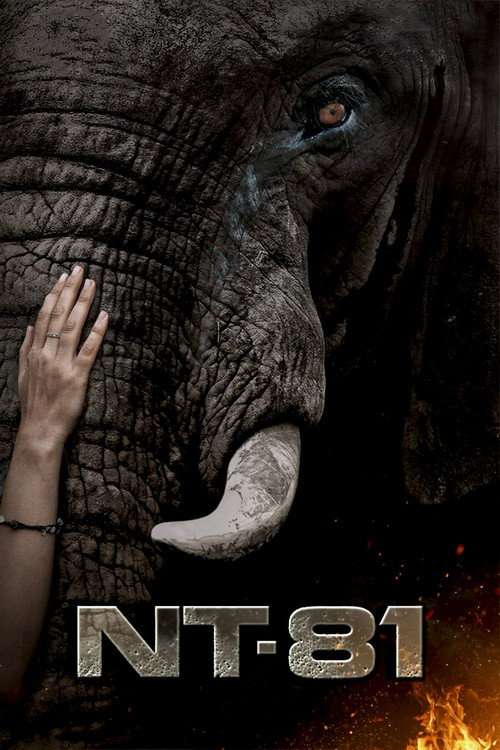 NT81 poster