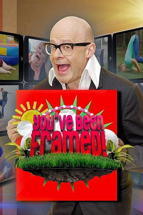 You've Been Framed! poster