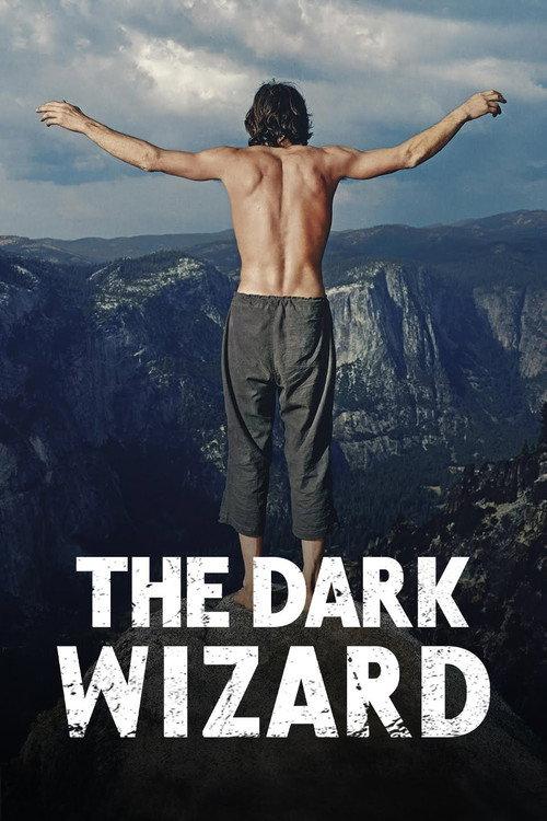 The Dark Wizard poster