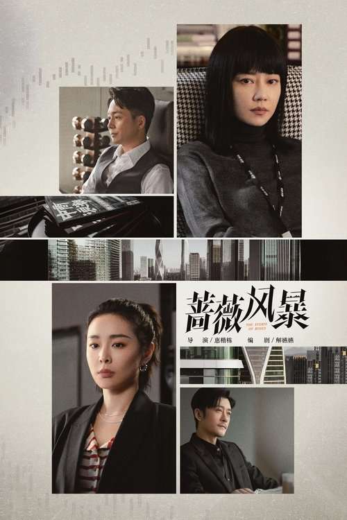 The Storm of Roses poster