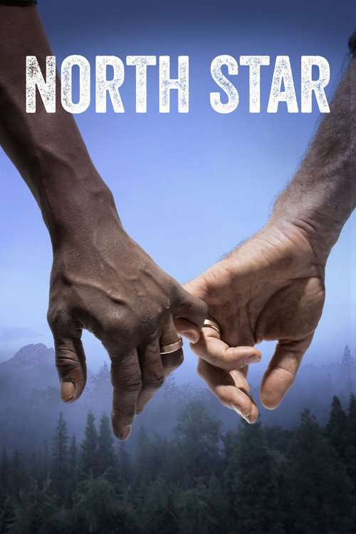North Star poster