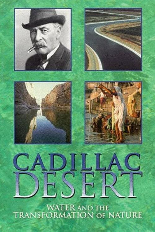 Cadillac Desert poster