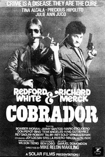 Cobrador poster