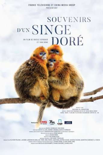 Souvenirs d'un singe doré poster